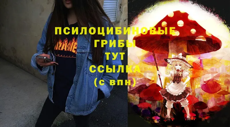 Псилоцибиновые грибы MAGIC MUSHROOMS  Задонск 