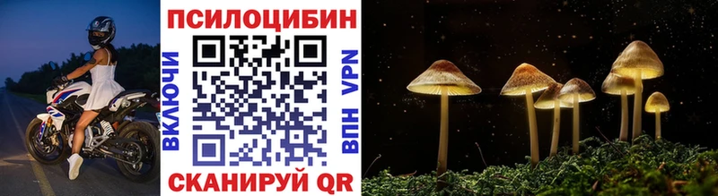 Псилоцибиновые грибы Magic Shrooms  Задонск 